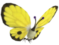 Artwork of the Yellow Spectralids from Pikmin 3.