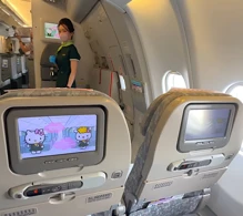 EVA Air Airbus A330-300 V.1 photo