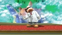 DrMarioIdlePose2WiiU.jpg