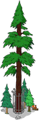 World's Largest Redwood Level 8.png