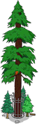 World's Largest Redwood Level 9.png