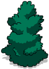 Tall Shrub 3.png