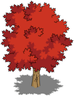 Maple Tree.png