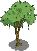 Brazilwood Tree.png