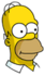 Homer