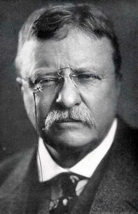 Theodore Roosevelt.jpg