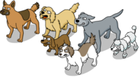 Dog Gang.png