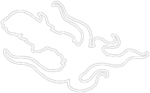 Rigellian Chalk Outline.png