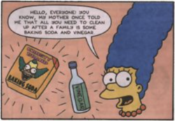 Marge Simpson's Cleaning Tips.png