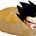 Gohan yeast