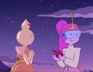 Princess Bubblegum and See-Thru Princess