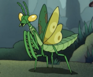 Green mantis