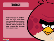 Terence