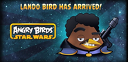 Lando now is arrived!