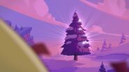 Last Tree Standing-8