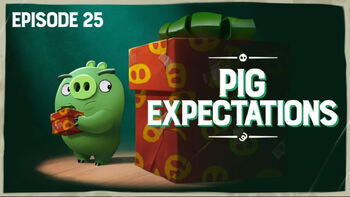 Pig Expectations TC