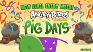 Pig Days A