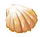 Seashell