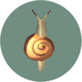 Snail (City Folk)