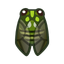 NH-Icon-robustcicada