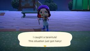 Animal-crossing-new-horizons-bug-catching