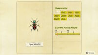 NH-encyclopedia-Tiger beetle