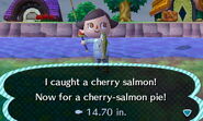 Catching a cherry salmon in New Leaf.