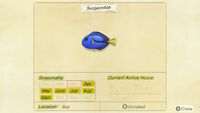 NH-encyclopedia-Surgeonfish