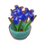 PC-FurnitureIcon-potted blue irises