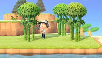 Un joueur dans Animal Crossing: New Horizons