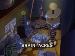 Brain Acres title