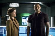 6.diggle-family