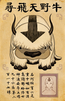 Lost Appa flyer