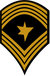 EF rank nco-SgtMaj