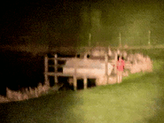 A photograph of Null by a lake, seen in secret game crash sequence.