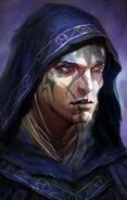 Hayes, human Wild Mage is found eventually in the Vyatri's Pub. Baldur's Gate II: Enhanced Edition – Shadows of Amn (2013) This icon indicates content from the Shadows of Amn campaign of the Baldur's Gate II: Enhanced Edition.