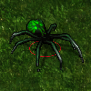 BGEE PhaseSpider