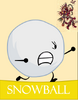 BBFDI-Snowball