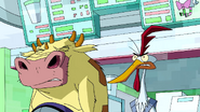 Cow and Chicken reference