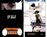 Yoruichi and Suì-Fēng on the cover of Chapter 159.