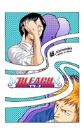 Ichigo and Uryū on the cover of Chapter 46.