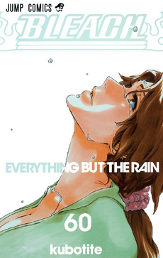 Cover of EVERYTHING BUT THE RAIN