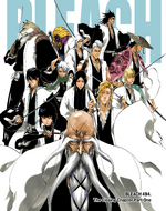 The color cover page of chapter 494, featuring the post-timeskip Gotei 13 captains.