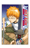 Ichigo on the cover of Chapter 44.