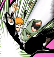 Nel tackles Ichigo.