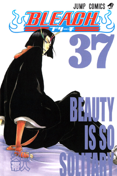 Cover of BEAUTY IS SO SOLITARY