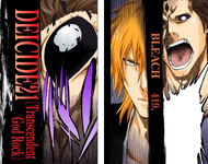 Ichigo and Aizen on the cover of Chapter 419.