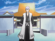 Ep21GinIchimaru