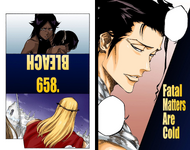 Yoruichi on the cover of Chapter 658.