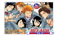 The color cover of chapter 8, featuring Ichigo and his Human friends.